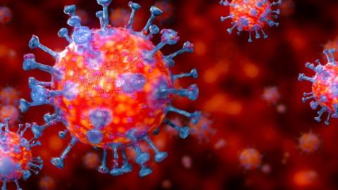 Coronavirus