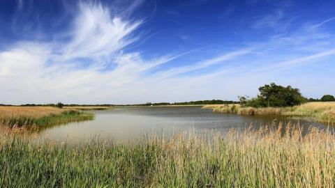 Hickling Broad