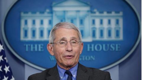 Dr Fauci at a White House briefing