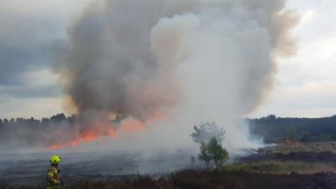 A firefighter surveys a huge plume of smoke over Hankley Common in Surrey