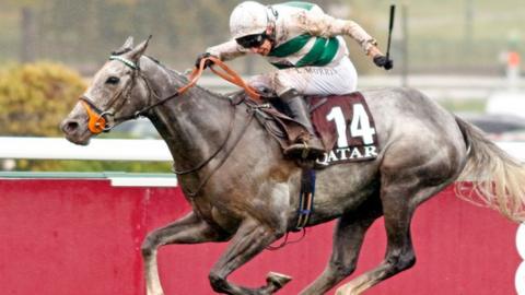 Alpinista wins Prix de l'Arc de Triomphe