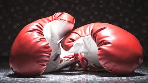 Boxing gloves