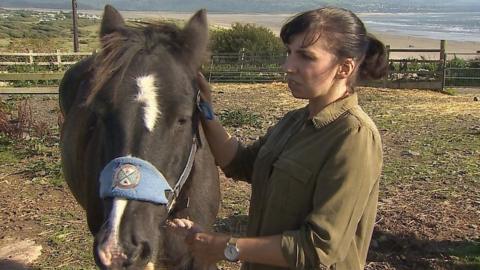 Lindsey Crosbie is the equine trainer for the horse therapy sessions