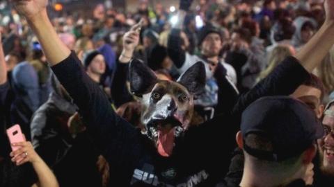 A fan wearing an underdog mask celebrates the Philadelphia Superbowl victory