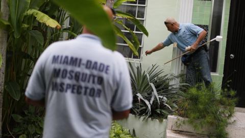 Mosquito control workers check for standing water