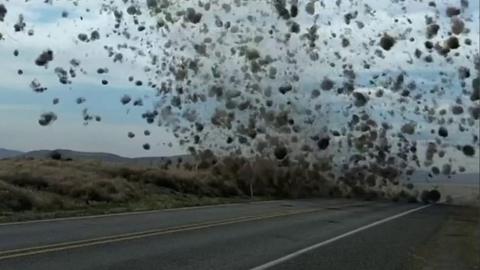 Driver encounters dust devil of tumbleweeds