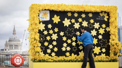 A woman in a blue jumper writes a message on the daffodil-covered wall on the South Bank.
