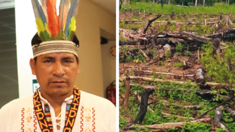 Picture of killed indigenous leader Quinto Inuma and felled trees