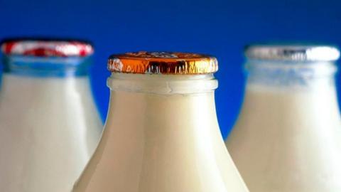 Milk bottles