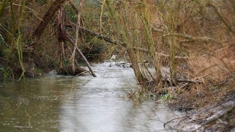 River Colne with debris in the water