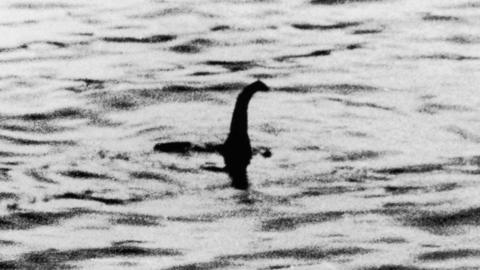 Faked Loch Ness Monster picture