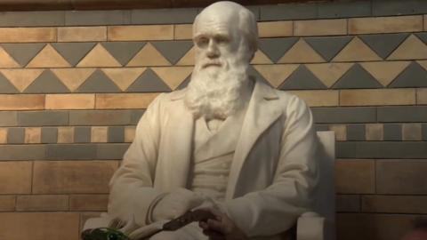 Charles Darwin