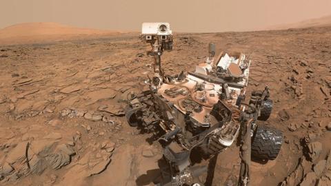 Curiosity selfie