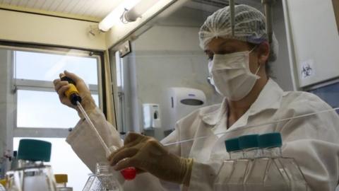 A biologist works with Aedes mosquito cells in the laboratory of Biology at the University of Campinas (UNICAMP), in Campinas, Brazil (11 February 2016)