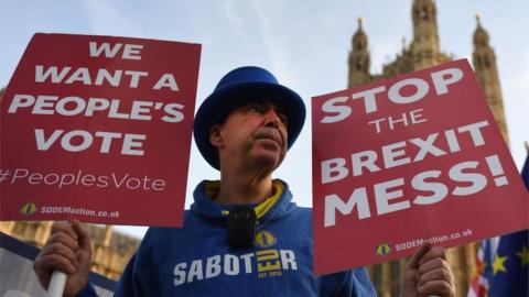 anti-Brexit protestor