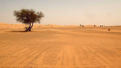 A picture of the Sahara near Algeria's southern border