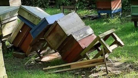 vandalised beehives