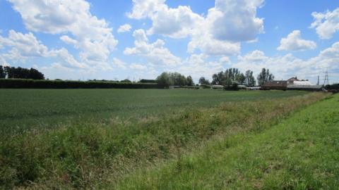 Walpole Marsh