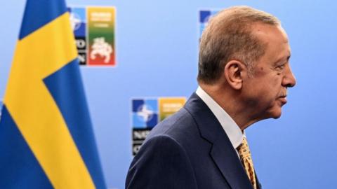 Turkey's President Erdogan stands next to a Swedish flag