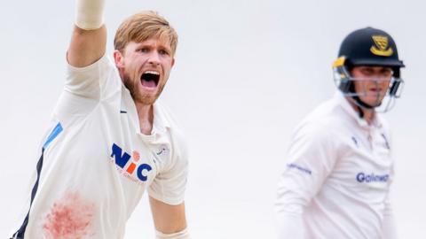 David Willey