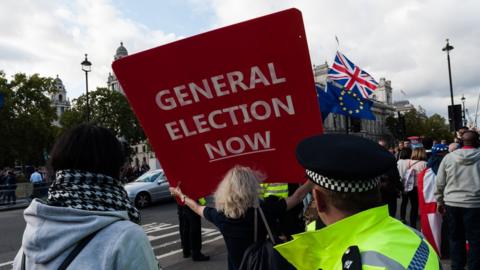 Protesters at Westminster