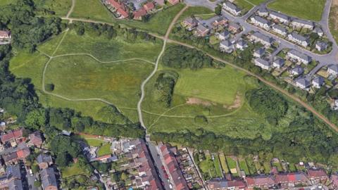 Aerial view of green land