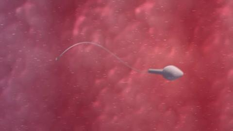 A CGI sperm