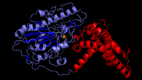 A digital representation of the EptA protein structure