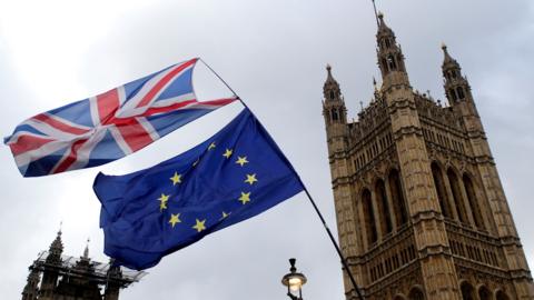 Flags outside parliament