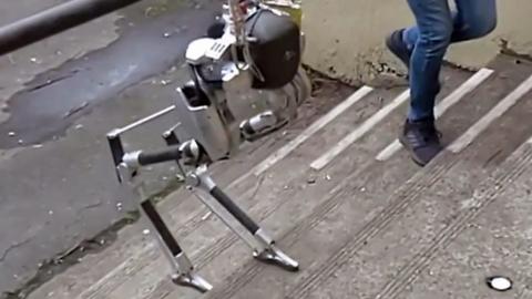 A robot walks up stairs at Oregon State University