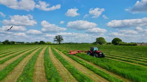 A tractor works in a field full of green stripes of crops with a few trees on the horizon and blue sky filled with white fluffy clouds behind