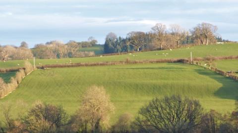 Site where slurry pond will be built, Newbridge Farm, Powys