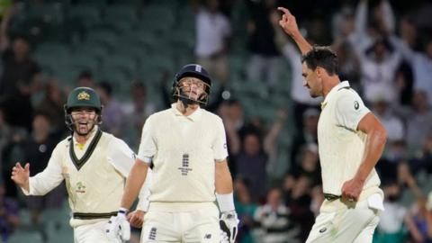 Mitchell Starc celebrates wicket of Joe Root