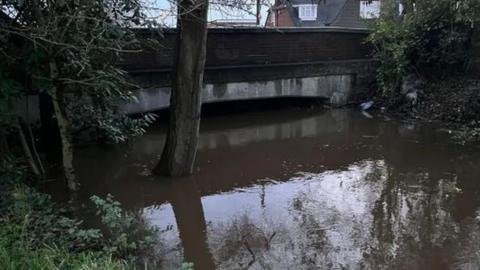 The river Bourne in Chertsey