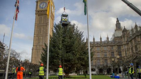 Christmas tree outside Parliament