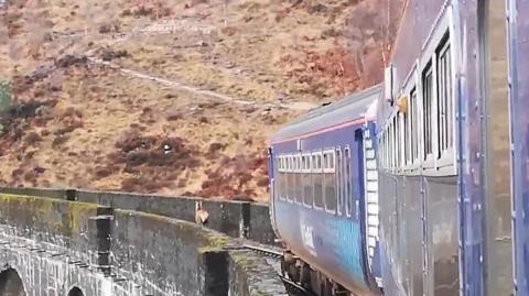 A ScotRail conductor captured footage of a stag running ahead of a train.