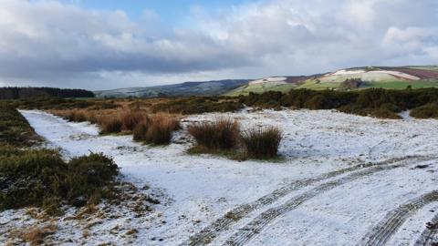 Snow on the ground in Llanbister