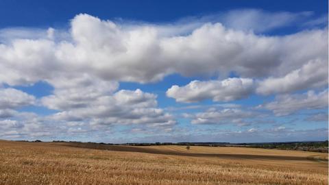 Blue skies and cumulus clouds over a field in Strethall, Essex. Picture by BBC Weather Watcher 'Ebb & Flow'