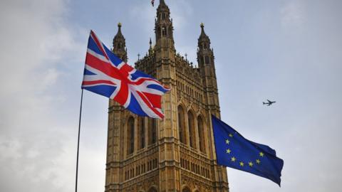 Flags in Westminster