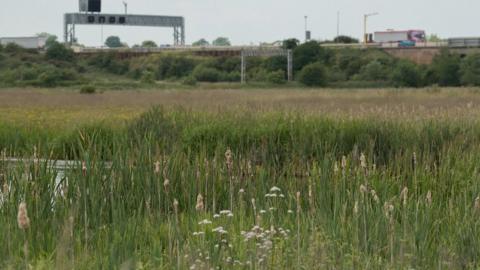 The M6 motorway runs next to Doxey Marshes where work will be carried out