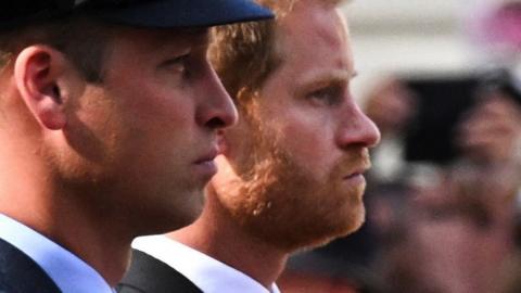 William and Harry