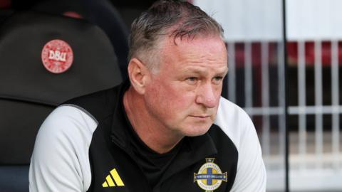 Northern Ireland manager Michael O'Neill