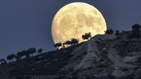 Moon rising behind trees in Jindayris, Syria, on July 31