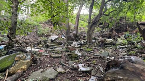 Rubbish dumpted at Blackswarth Road Wood in Bristol