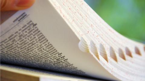 Stock image of dictionary