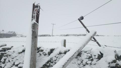 Power line down in the snow
