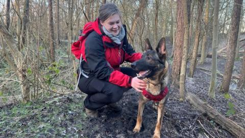 Black and brown German Shepherd dog with woman in red and black rescue clothing in a wood