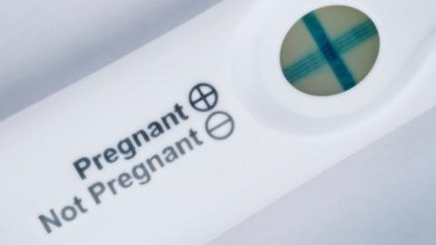 Pregnancy test