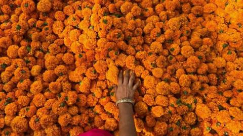 A customer looks at marigold flowers at a shop along a roadside in Mumbai on November 11, 2023,