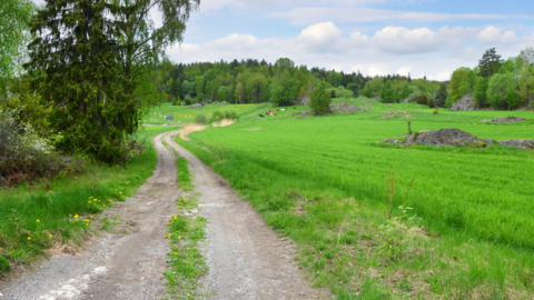 A country walk in Huddinge, Sweden